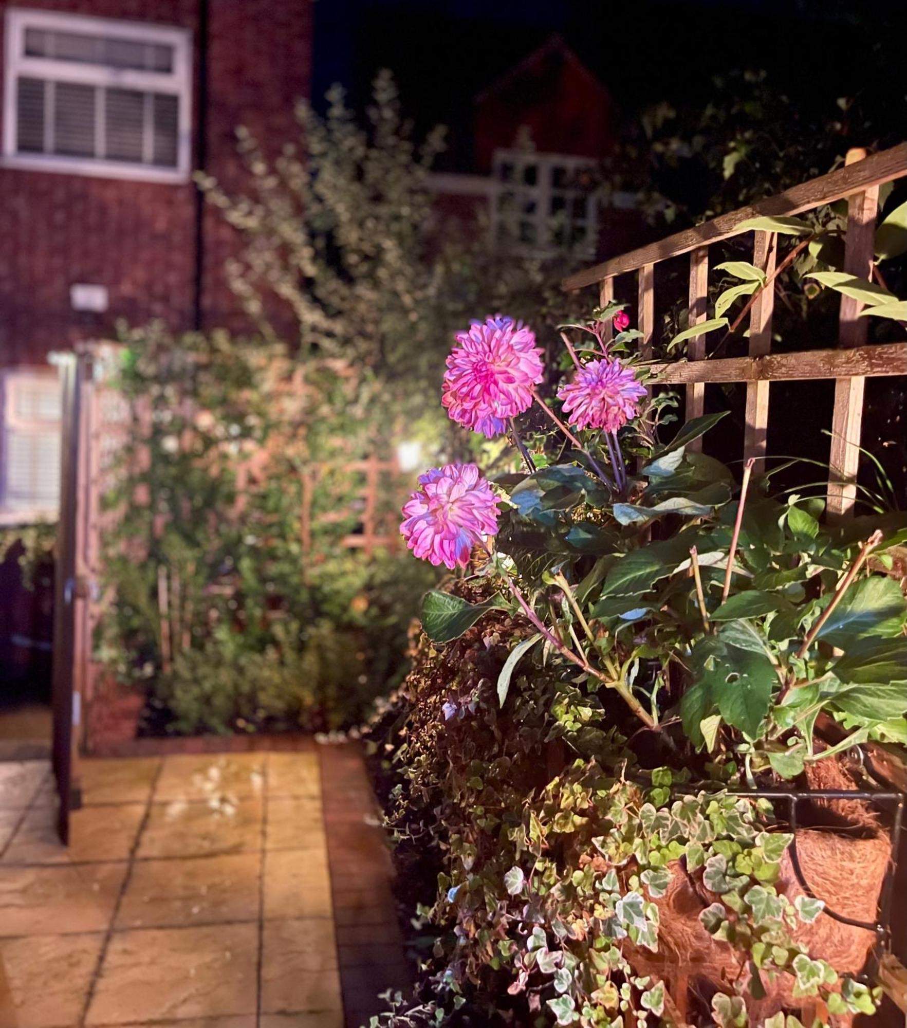 Cosy Cottage Central Bawtry - 2 Bedroom - High End Furnishings Kültér fotó